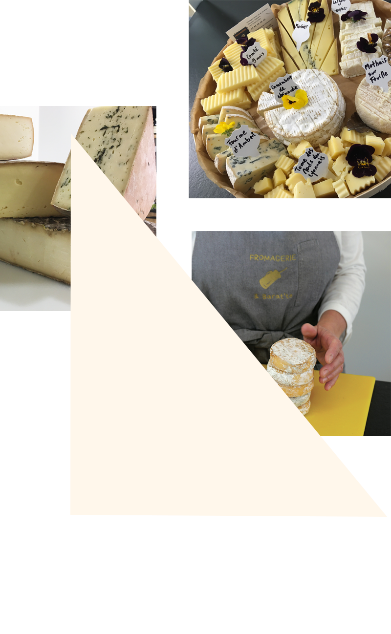 plateau de fromages et fromages au lait cru