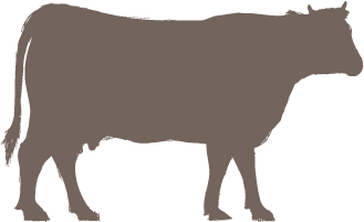 icône vache